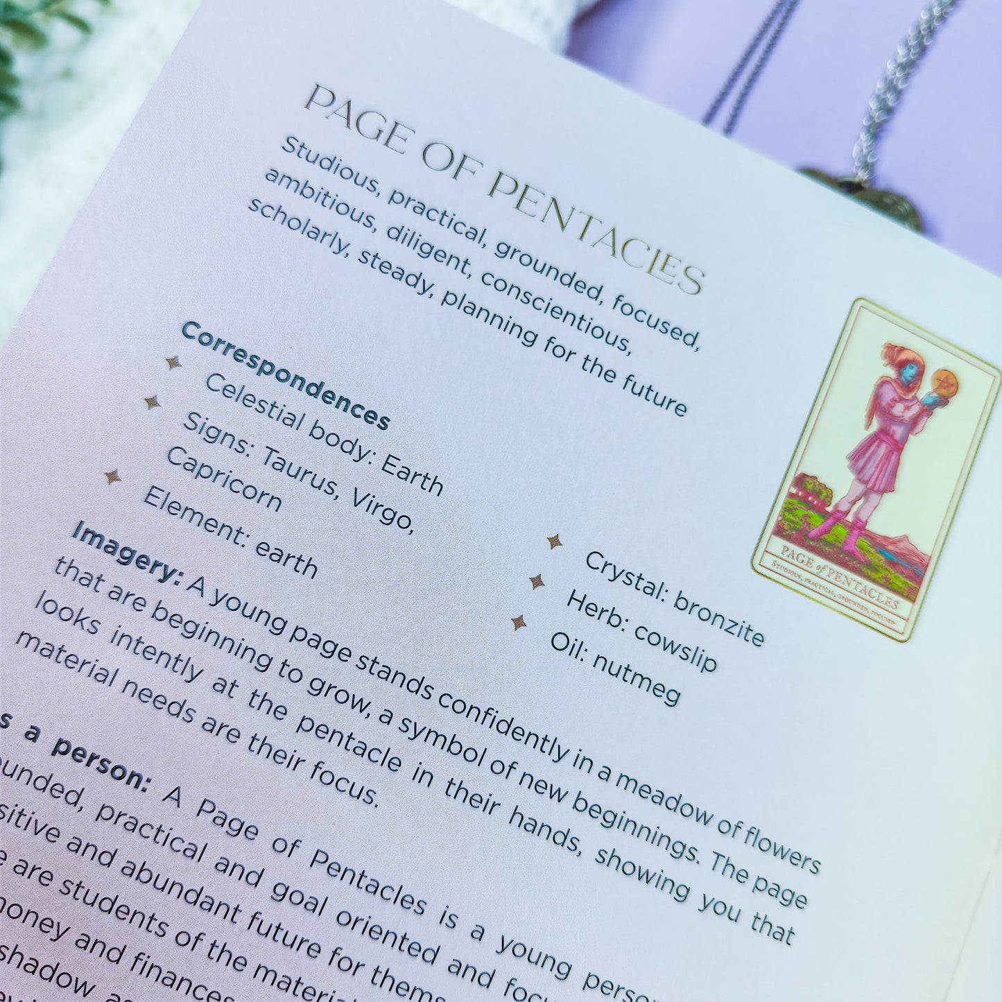 Tarot Card Companion