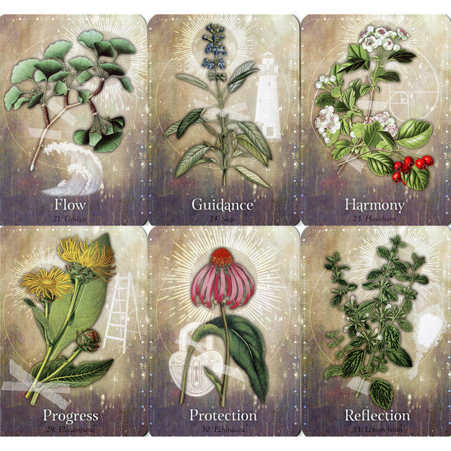 Oraakkelikortit Magickal Herb Oracle